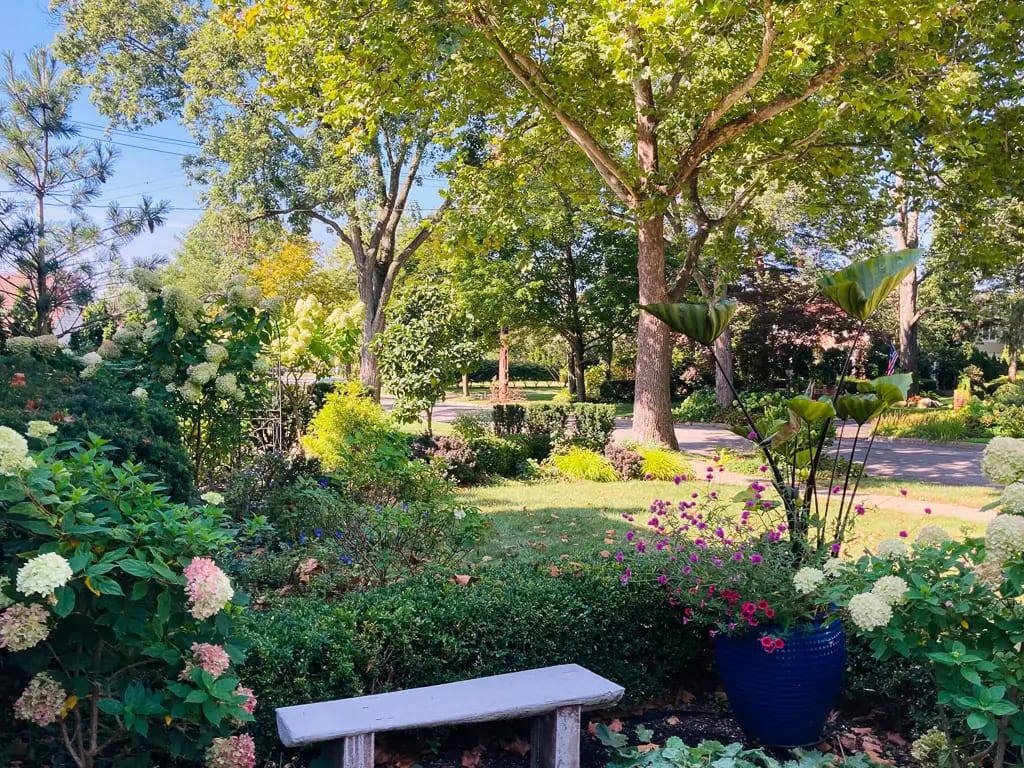 Landscape portfolio 99