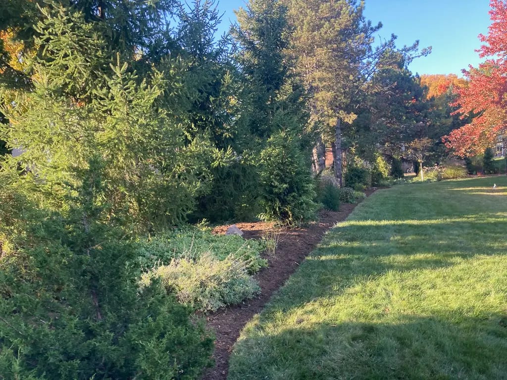 Landscape portfolio 104