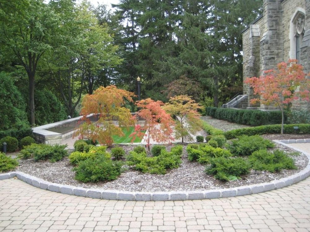 Landscape portfolio 105