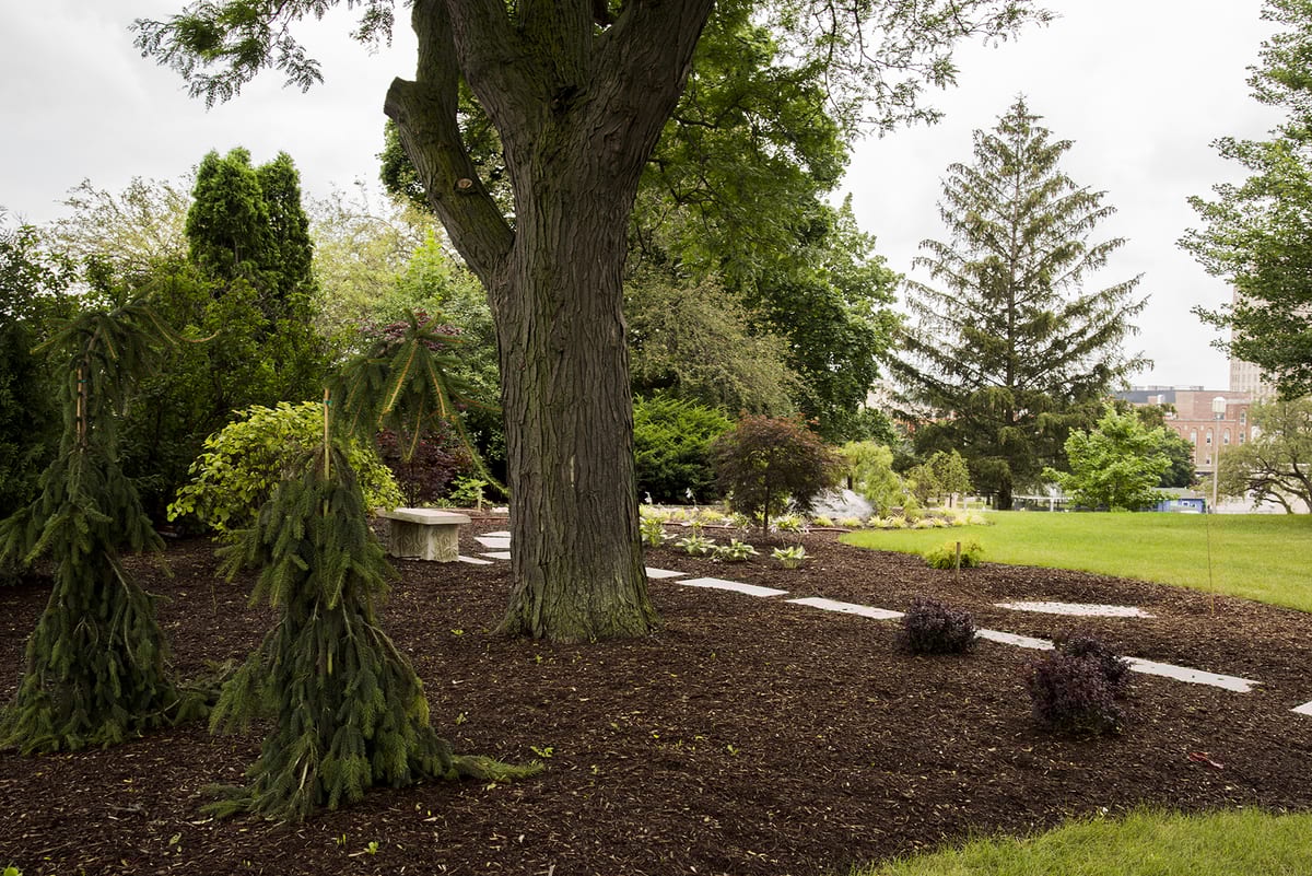 Landscape portfolio 106