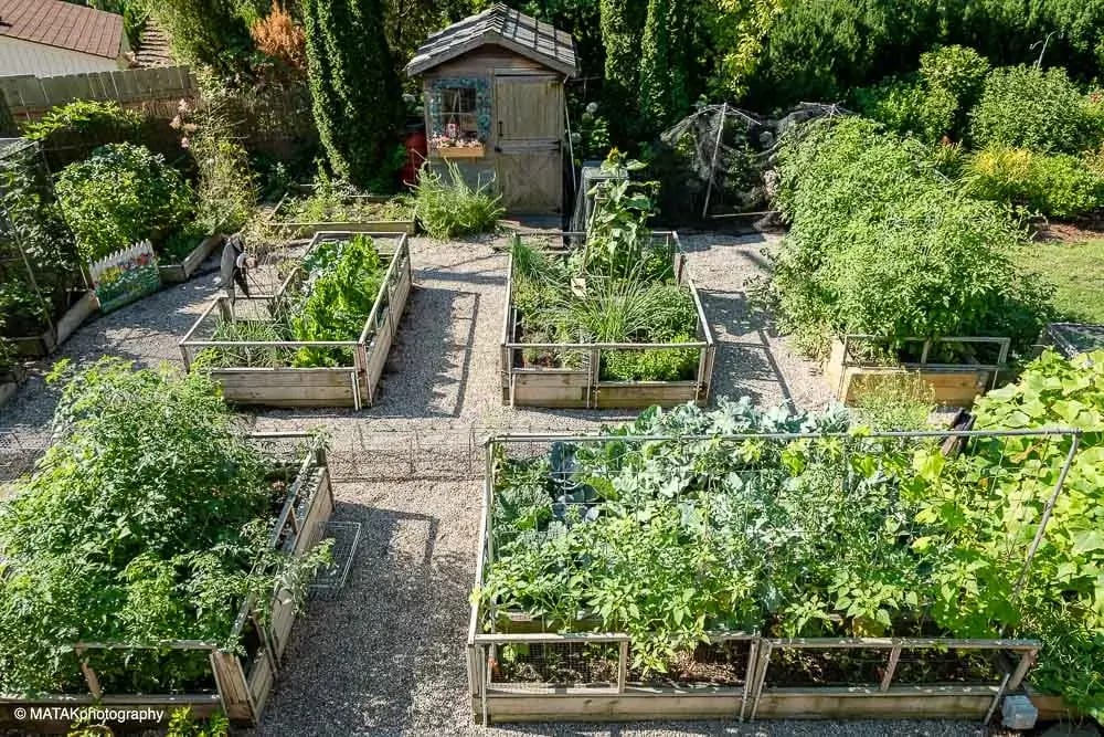 Landscape portfolio 112