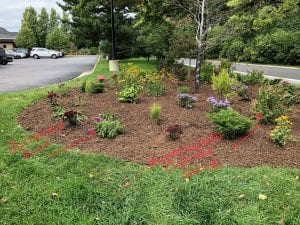 Landscape portfolio 114