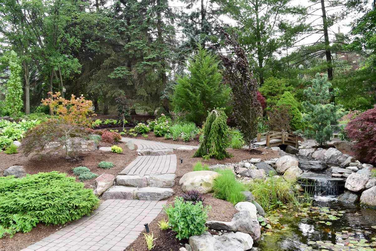 Landscape portfolio 116