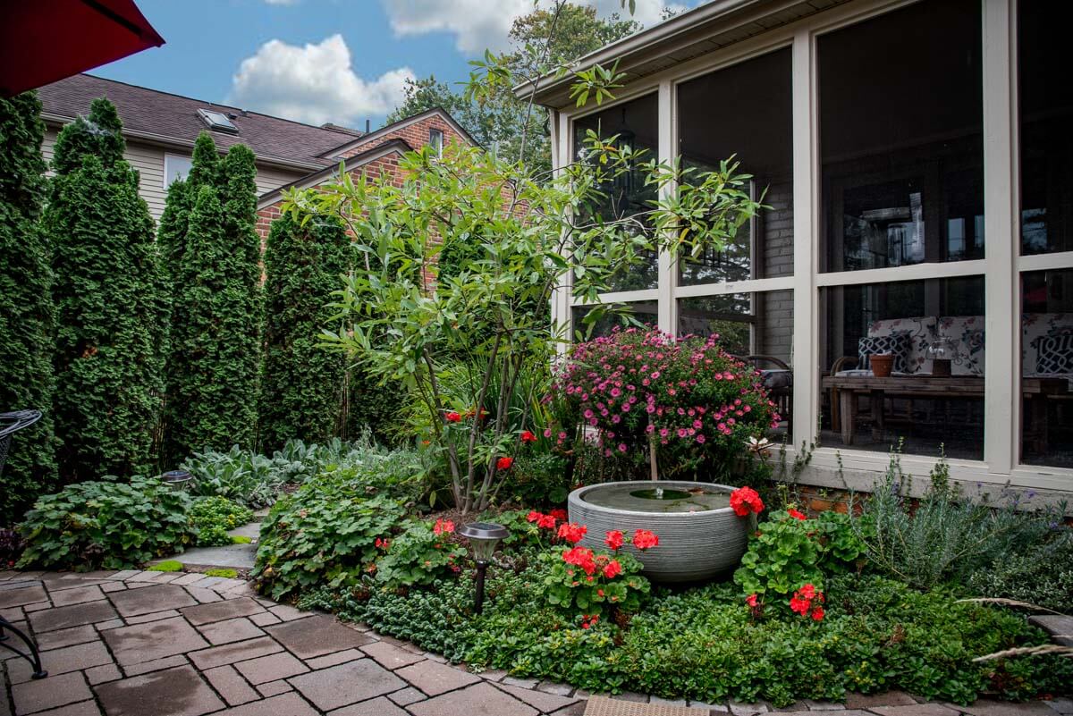 Landscape portfolio 122