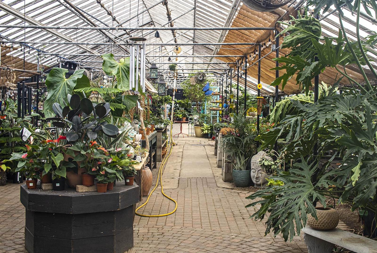 Events at Goldner Walsh greenhouse
