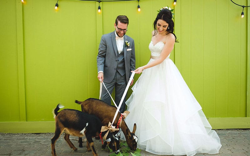 Wedding at Goldner Walsh 9